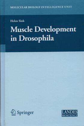 Sink |  Muscle Development in Drosophilia | Buch |  Sack Fachmedien