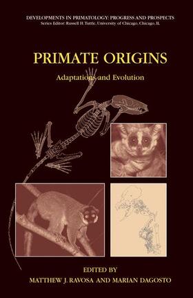 Dagosto / Ravosa |  Primate Origins: Adaptations and Evolution | Buch |  Sack Fachmedien