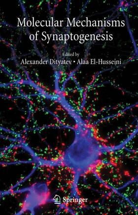 Dityatev / El-Husseini |  Molecular Mechanisms of Synaptogenesis | Buch |  Sack Fachmedien