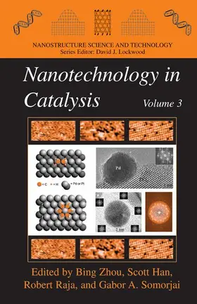 Zhou / Han / Raja |  Nanotechnology in Catalysis, Volume 3 | Buch |  Sack Fachmedien