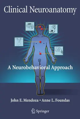 Mendoza / Foundas |  Clinical Neuroanatomy | Buch |  Sack Fachmedien