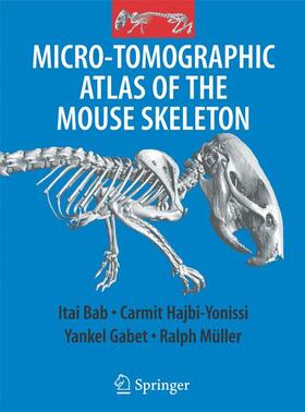 Bab / Müller / Hajbi-Yonissi |  Micro-Tomographic Atlas of the Mouse Skeleton | Buch |  Sack Fachmedien