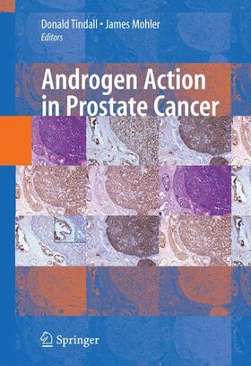 Mohler / Tindall |  Androgen Action in Prostate Cancer | Buch |  Sack Fachmedien