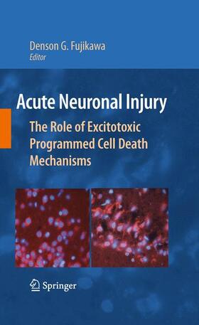 Fujikawa |  Acute Neuronal Injury | Buch |  Sack Fachmedien