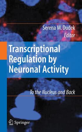 Dudek |  Transcriptional Regulation by Neuronal Activity | Buch |  Sack Fachmedien
