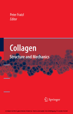 Fratzl |  Collagen | eBook | Sack Fachmedien