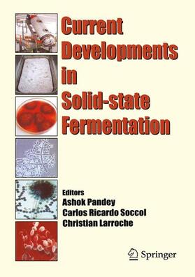 Pandey / Larroche / Soccol |  Current Developments in Solid-state Fermentation | Buch |  Sack Fachmedien