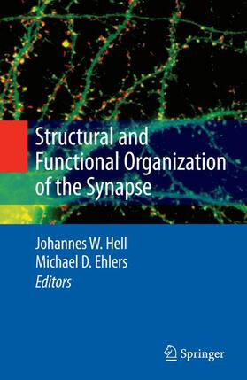 Ehlers / Hell |  Structural and Functional Organization of the Synapse | Buch |  Sack Fachmedien