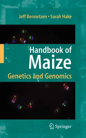 Hake / Bennetzen |  Handbook of Maize | Buch |  Sack Fachmedien