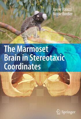 Palazzi / Bordier |  The Marmoset Brain in Stereotaxic Coordinates | Buch |  Sack Fachmedien
