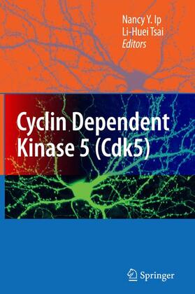 Tsai / Ip |  Cyclin Dependent Kinase 5 (Cdk5) | Buch |  Sack Fachmedien