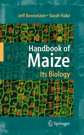 Bennetzen / Hake |  Handbook of Maize: Its Biology | Buch |  Sack Fachmedien