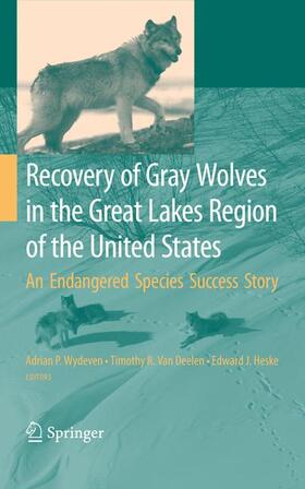 Wydeven / Heske / van Deelen |  Recovery of Gray Wolves in the Great Lakes Region of the United States | Buch |  Sack Fachmedien