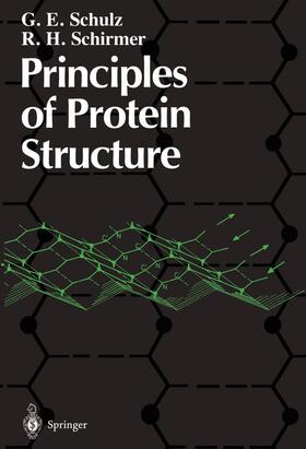 Schirmer / Schulz |  Principles of Protein Structure | Buch |  Sack Fachmedien