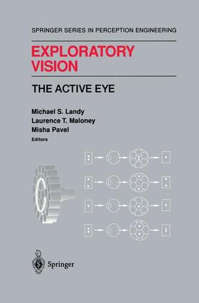 Landy / Maloney / Pavel |  Exploratory Vision | Buch |  Sack Fachmedien