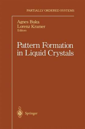 Kramer / Buka |  Pattern Formation in Liquid Crystals | Buch |  Sack Fachmedien