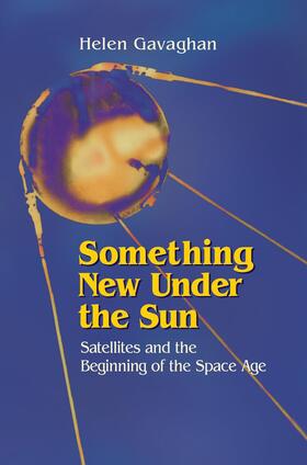 Gavaghan |  Something New Under the Sun | Buch |  Sack Fachmedien