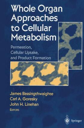 Bassingthwaighte / Goresky / Linehan |  Whole Organ Approaches to Cellular Metabolism | Buch |  Sack Fachmedien
