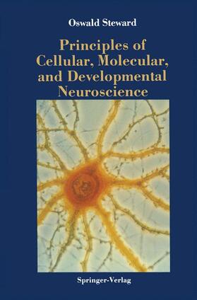 Steward |  Principles of Cellular, Molecular, and Developmental Neuroscience | Buch |  Sack Fachmedien
