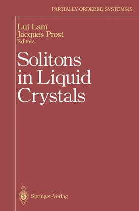 Prost / Lam | Solitons in Liquid Crystals | Buch | 978-0-387-96878-0 | sack.de