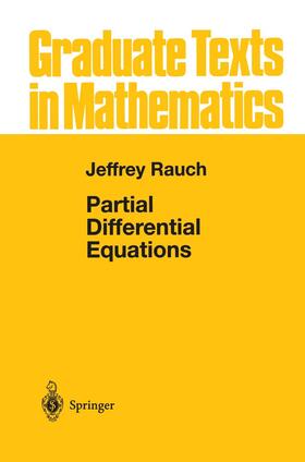 Rauch |  Partial Differential Equations | Buch |  Sack Fachmedien