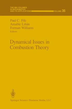 Fife / Williams / Linan |  Dynamical Issues in Combustion Theory | Buch |  Sack Fachmedien