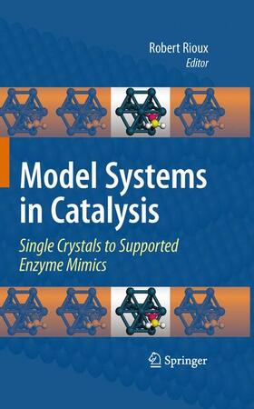 Rioux |  Model Systems in Catalysis | Buch |  Sack Fachmedien