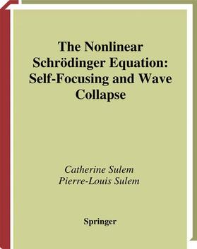 Sulem |  The Nonlinear Schrödinger Equation | Buch |  Sack Fachmedien