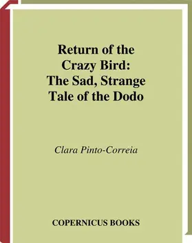 Pinto-Correia |  Return of the Crazy Bird | Buch |  Sack Fachmedien