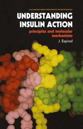 Espinal |  Understanding Insulin Action | Buch |  Sack Fachmedien