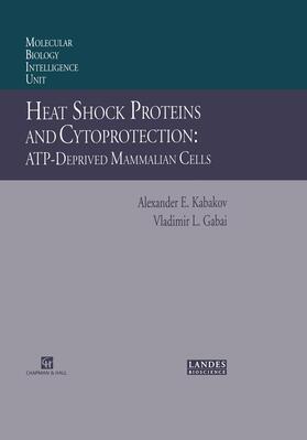 Kabakov / Gabai |  Heat Shock Proteins and Cytoprotection | Buch |  Sack Fachmedien