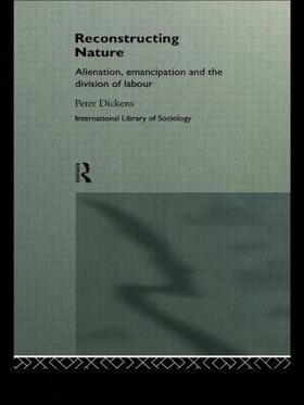 Dickens |  Reconstructing Nature | Buch |  Sack Fachmedien