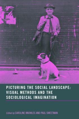 Knowles / Sweetman |  Picturing the Social Landscape | Buch |  Sack Fachmedien