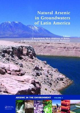 Bundschuh / Armienta / Birkle |  Natural Arsenic in Groundwaters of Latin America | Buch |  Sack Fachmedien