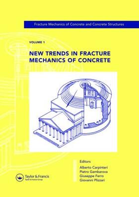 Carpinteri / Gambarova / Ferro |  Fracture Mechanics of Concrete and Concrete Structures | Buch |  Sack Fachmedien