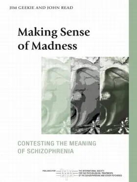 Geekie / Read |  Making Sense of Madness | Buch |  Sack Fachmedien