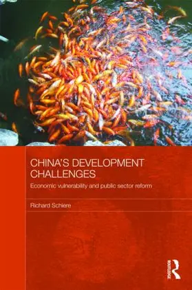 Schiere |  China's Development Challenges | Buch |  Sack Fachmedien