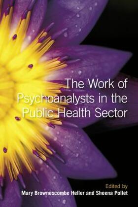 Heller / Pollet |  The Work of Psychoanalysts in the Public Health Sector | Buch |  Sack Fachmedien