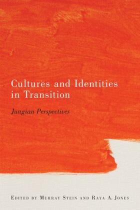 Stein / Jones |  Cultures and Identities in Transition | Buch |  Sack Fachmedien