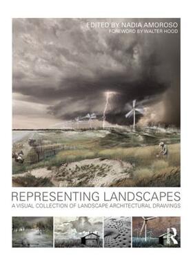 Amoroso |  Representing Landscapes | Buch |  Sack Fachmedien