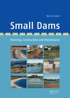 Lewis |  Small Dams | Buch |  Sack Fachmedien