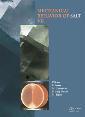 Bérest / Ghoreychi / Hadj-Hassen |  Mechanical Behaviour of Salt VII | Buch |  Sack Fachmedien