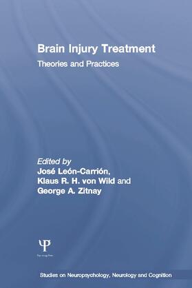 Leon-Carrion / Zitnay / von Wild |  Brain Injury Treatment | Buch |  Sack Fachmedien