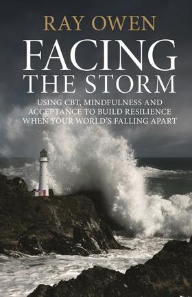 Owen |  Facing the Storm | Buch |  Sack Fachmedien