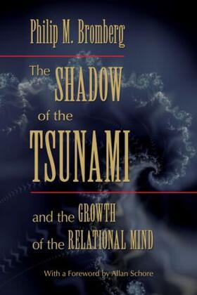 Bromberg |  The Shadow of the Tsunami | Buch |  Sack Fachmedien