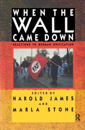 James / Stone |  When the Wall Came Down | Buch |  Sack Fachmedien
