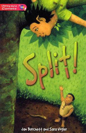 Burchett / Vogler |  Literacy World Comets Stage 2 Novel  Split | Buch |  Sack Fachmedien