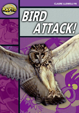 Llewellyn |  Rapid Reading: Bird Attack! (Stage 1, Level B) | Buch |  Sack Fachmedien