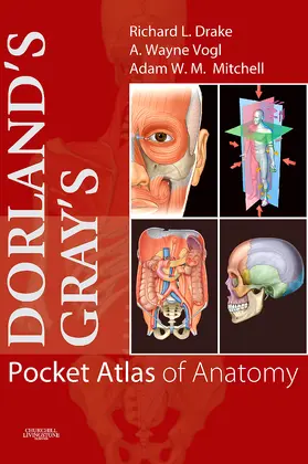 Drake / Vogl / Mitchell |  Dorland's Gray's Pocket Atlas of Anatomy [With CDROM] | Buch |  Sack Fachmedien