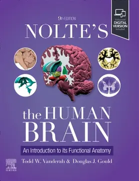 Vanderah / Gould |  Nolte's the Human Brain | Buch |  Sack Fachmedien